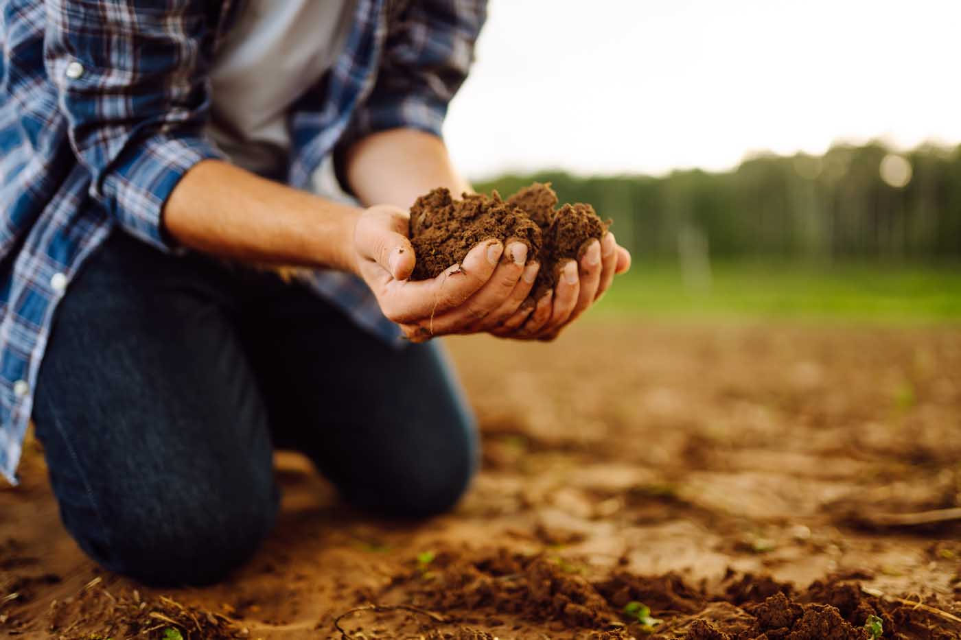 Close-up of a farmer's strong hands on a black field. Concept of gardening, ecology.