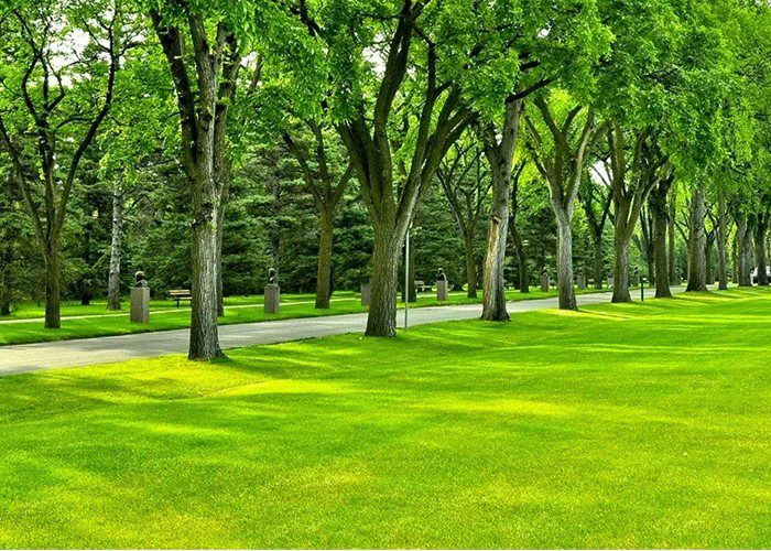 Best lawn care and maintenance services in Tennessee