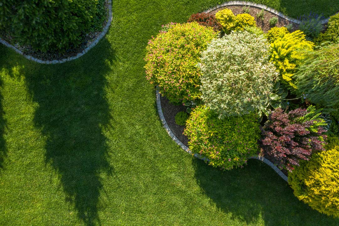 Residential Backyard Garden Aerial Vista